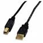 Xtech - USB cable - 3.04 m - 4 pin USB Type B - 4 pin USB Type A - 2.0 male-male mold