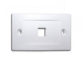 TAPA PARA MOLDURA HORIZONTAL LANPRO DE 1 SALIDA LANPRO