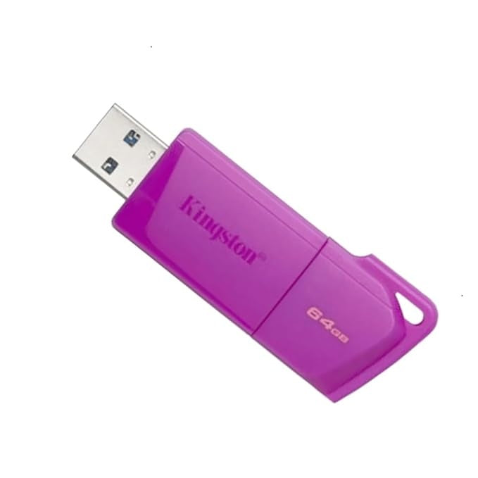 Kingston - USB flash drive - 64 GB - USB 3.2 Gen 1 - NEON Purple