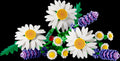 LEGO 11508 - Margaritas